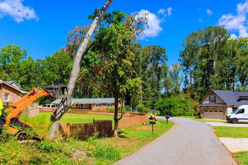 Demolition And Removal Service